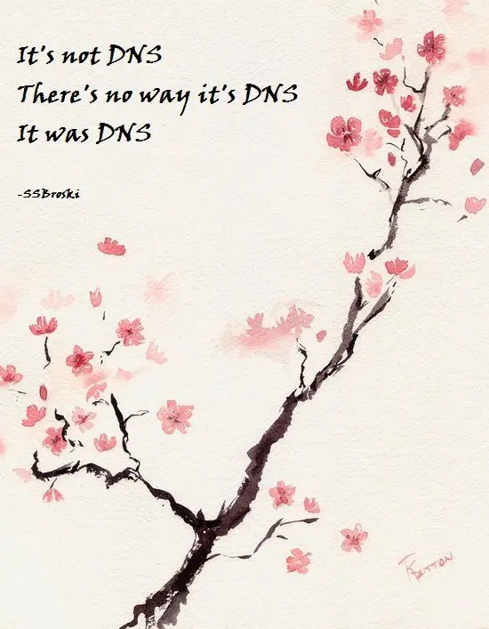 Illustration humoristique DNS Haiku - It's always DNS